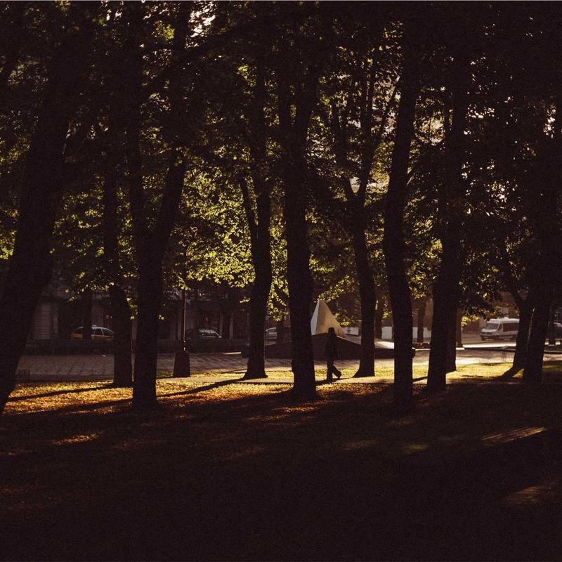 Concentrated Ginseng Eye Cream 6