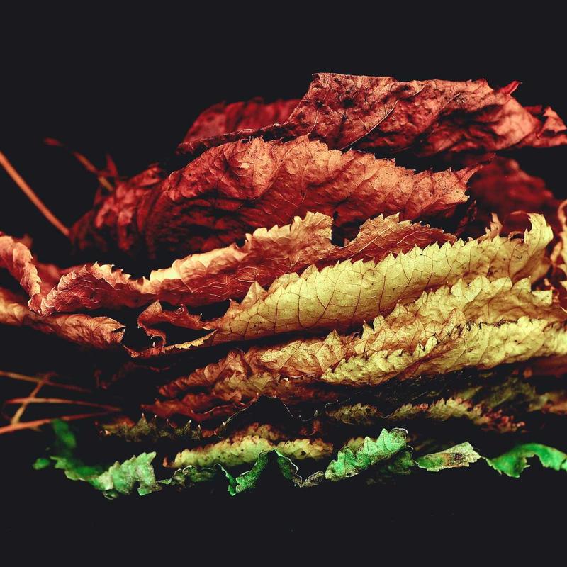Crimson